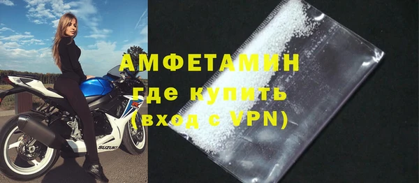 прущие грибы Беломорск