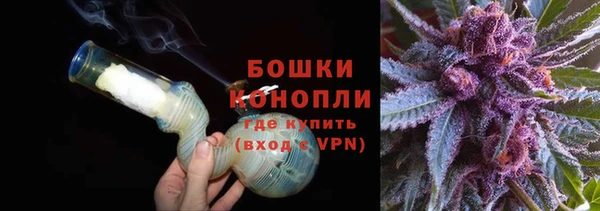 прущие грибы Беломорск