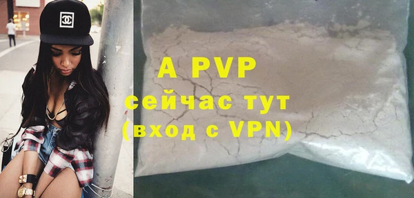 ешки Белокуриха