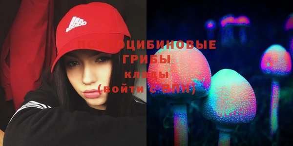 прущий лед Тайга
