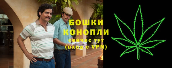 ешки Белокуриха