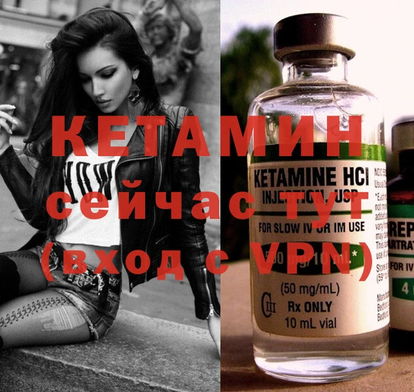 дживик Сясьстрой