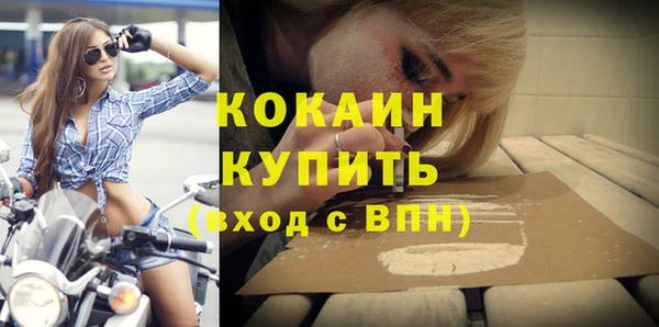 прущие грибы Беломорск