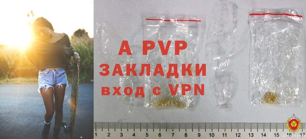 прущие грибы Беломорск