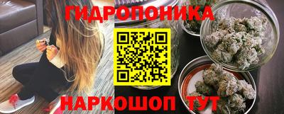 гидра Пенза