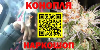 гидра Пенза