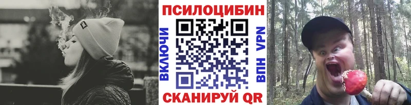 купить закладку  Свободный  Псилоцибиновые грибы мицелий 