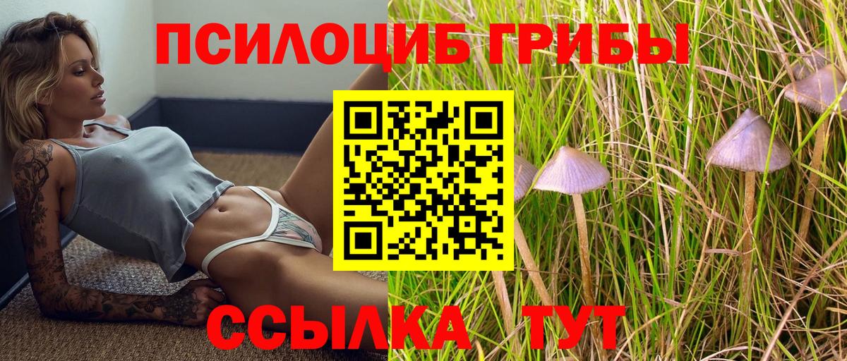 Псилоцибиновые грибы Magic Shrooms  Вход с VPN  магазин продажи наркотиков  Свободный 