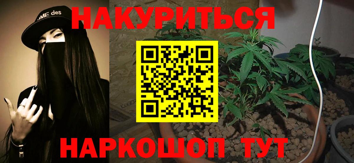 Бошки Шишки план Свободный